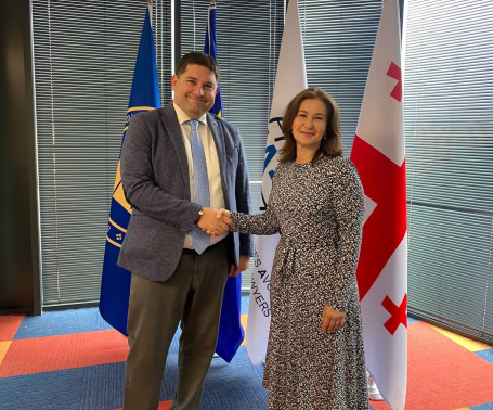 საქართველოს ადვოკატთა ასოციაციის თავმჯდომარე UNHCR Georgia-ს ხელმძღვანელს შეხვდა
